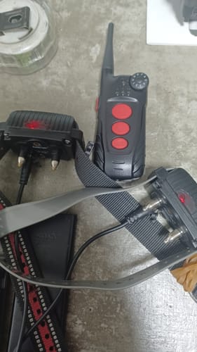 Customer photo review of Additional Remote for Aetertek AT-918C Remote Dog Training Collar