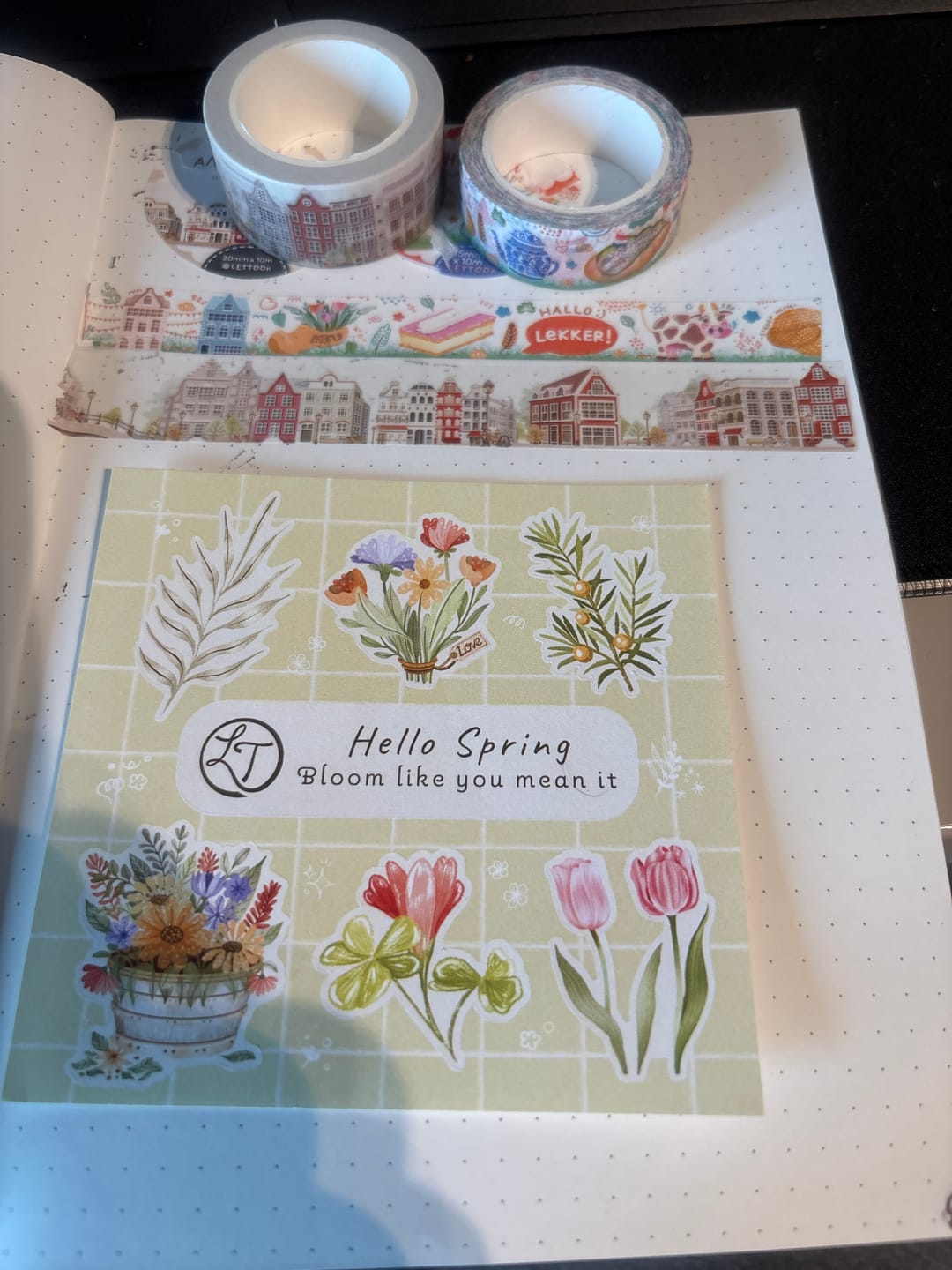 Customer photo review of Amsterdam