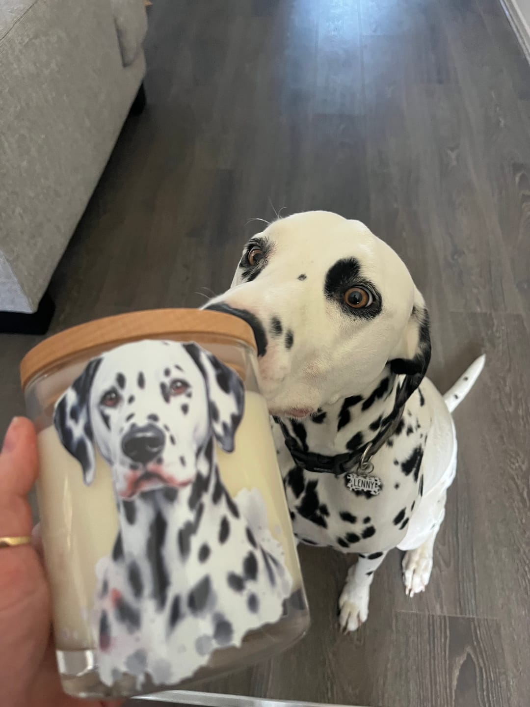 Customer photo review of Dalmatian Portrait Xlarge Candle