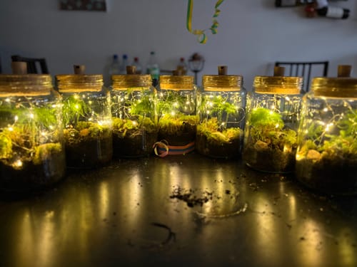 Rezensent zeigt sieben fertige Flaschengarten-Sets, die mit leuchtenden LED-Korken auf einem dunklen Tisch stehen.