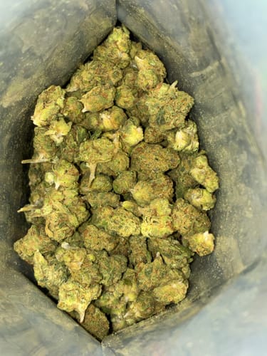 Customer photo review of Shipping Protection by Route