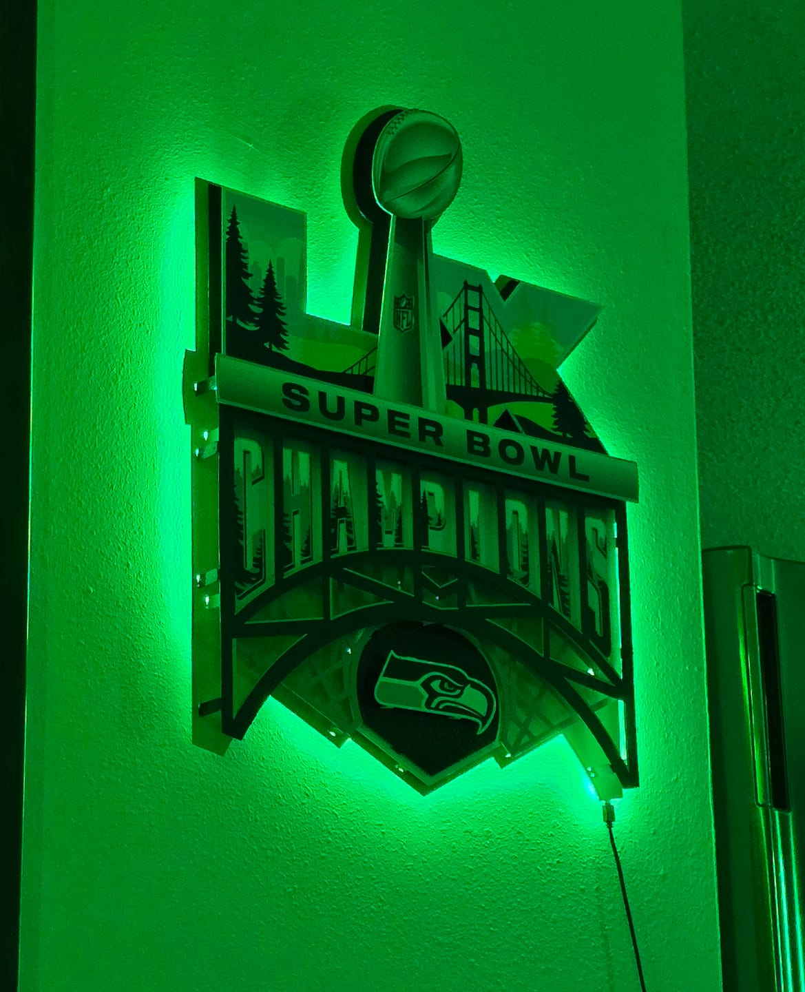 Customer photo review of Seattle Seahawks Super Bowl LX CHAMPIONS! 3D Metal Wall Art