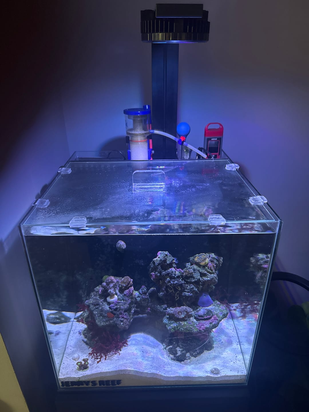 Customer photo review of Pixel LED Bundles All Sizes