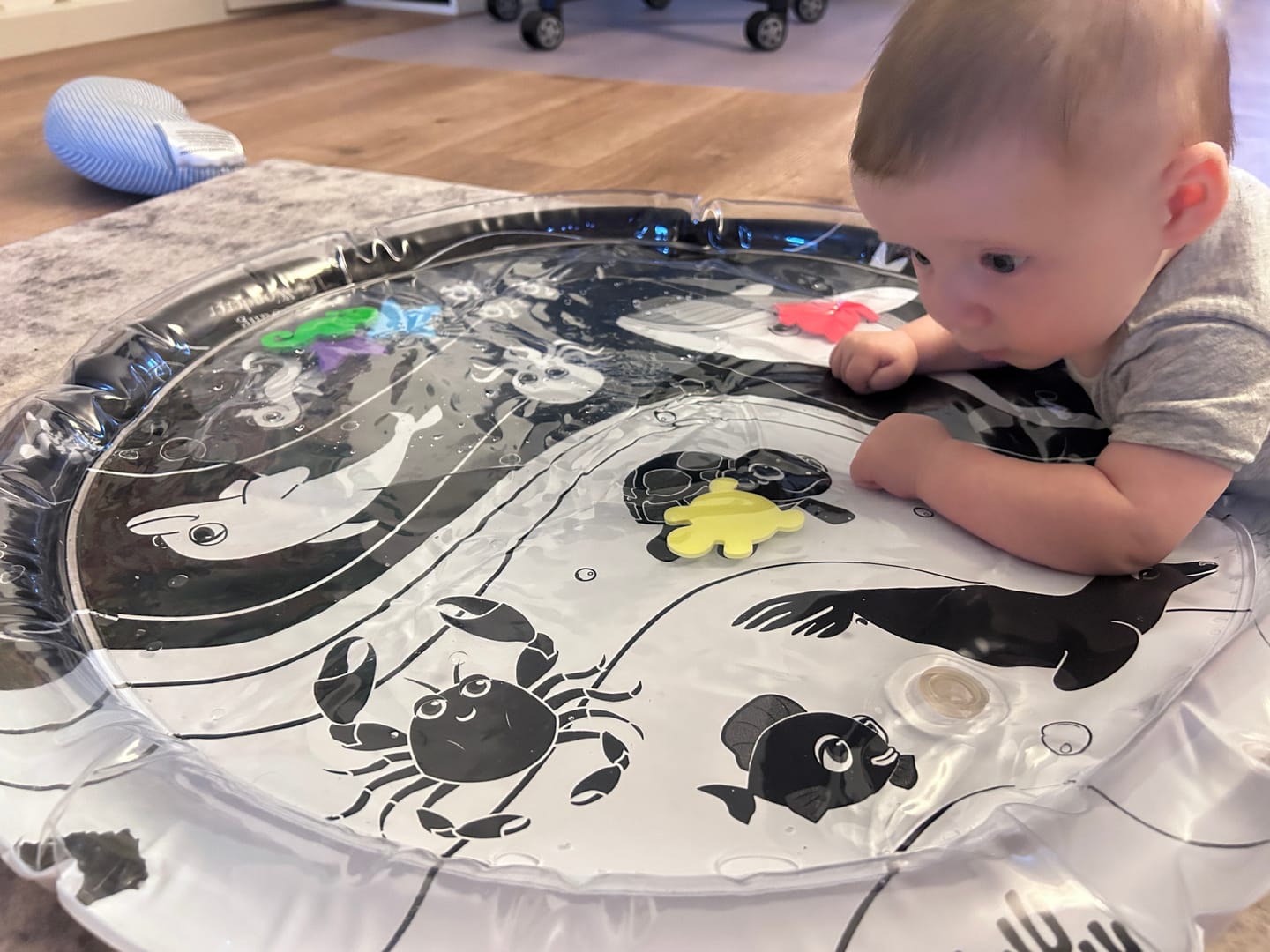 Customer photo review of Under The Sea High Contrast Sensory Water Mat