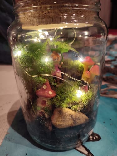 Rezensent zeigt einen fertigen Flaschengarten mit Moos, einer Fee, roten Pilzen und einer leuchtenden Lichterkette.