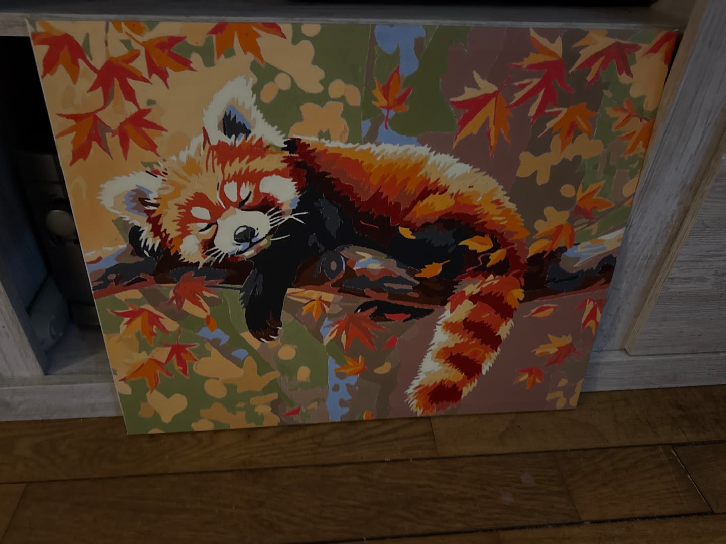 Customer photo review of Relaxed Red Panda
