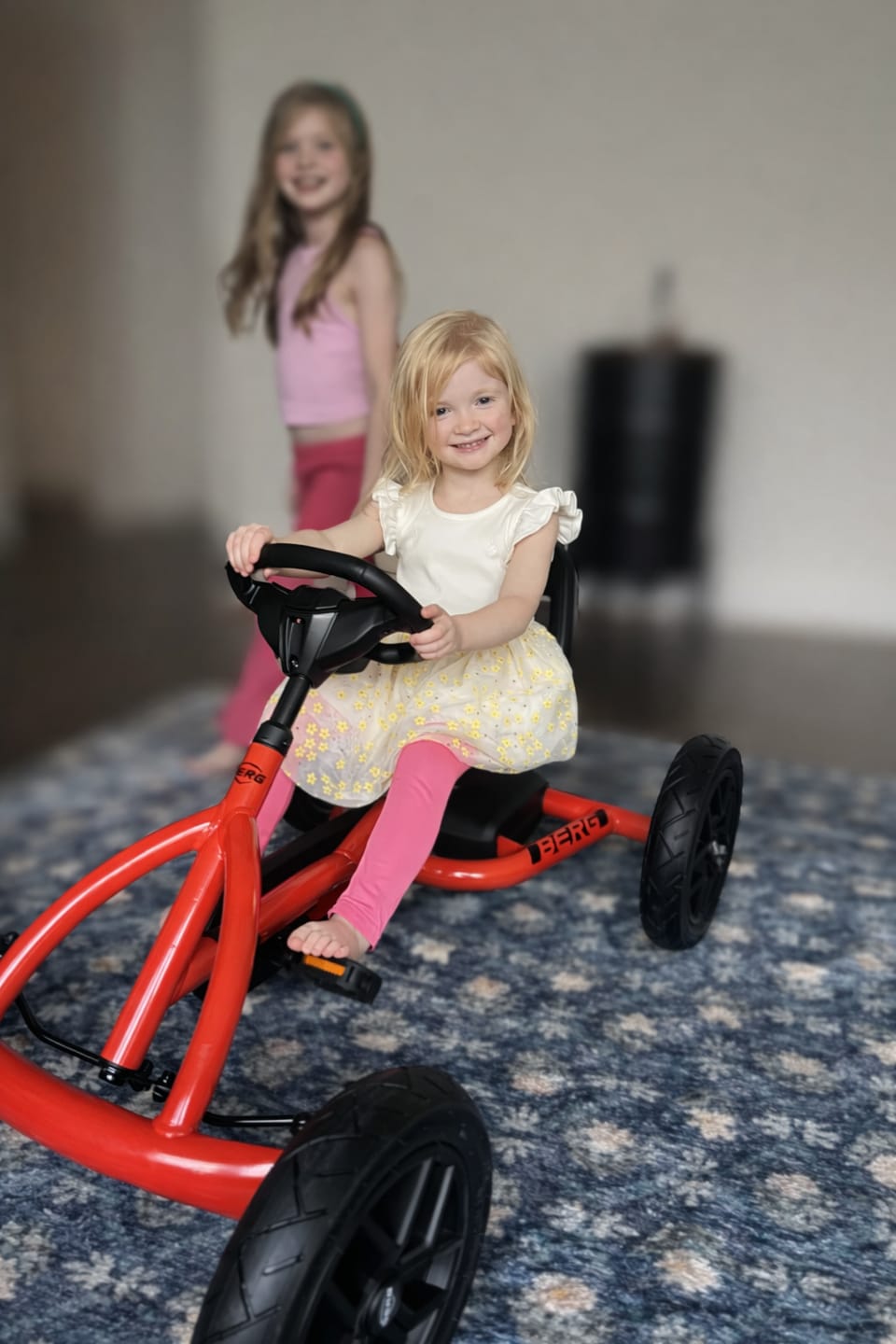 Customer photo review of BERG Buddy