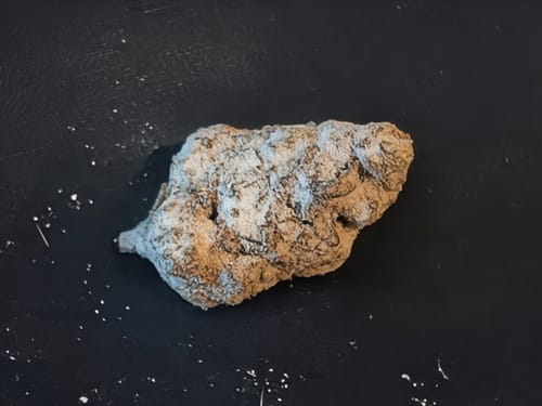 Customer photo review of Shipping Protection by Route