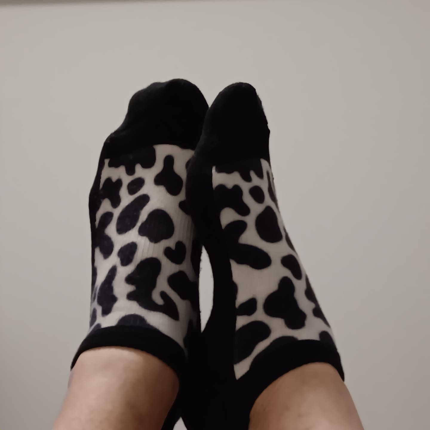 Customer photo review of Moo Print Ankle Socks