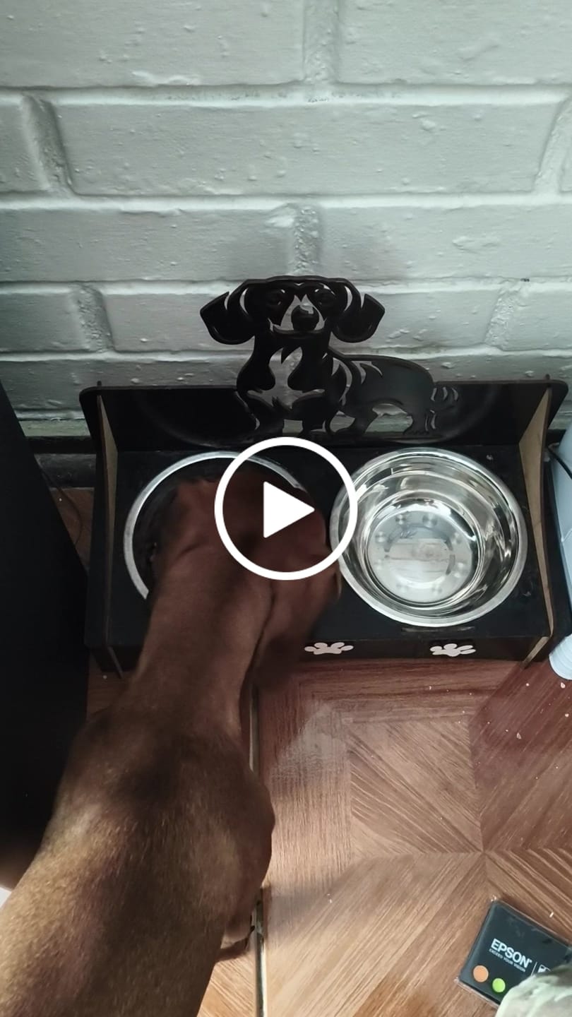 Customer video review of PetFamily Foods Cachorros