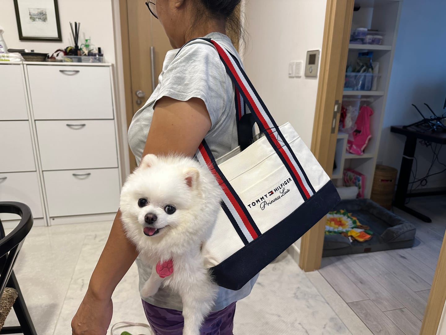 Customer photo review of Tommy Hilfiger Canvas Dog Tote Bag