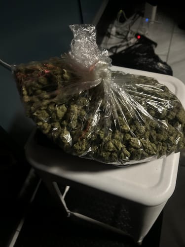 Customer photo review of Cherry Runtz - Bulk- Hybrid