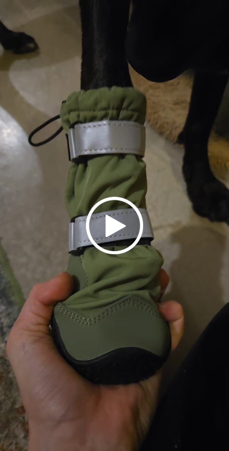 Customer video review of Flex Shell Waterproof Dog Boots - Green