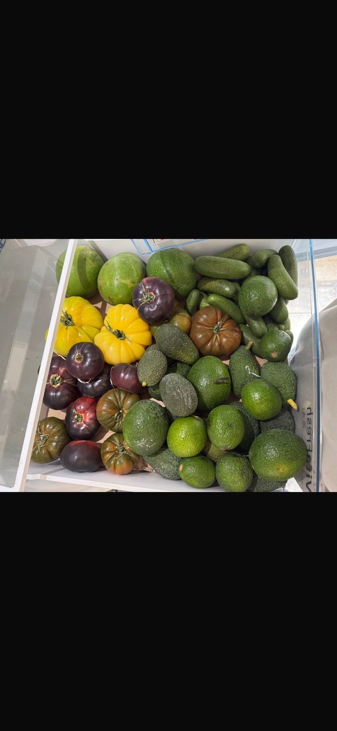 Customer photo review of Tomaten Mix von Julian Box 3kg