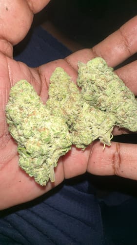 Customer photo review of Airheadz THCA Flower