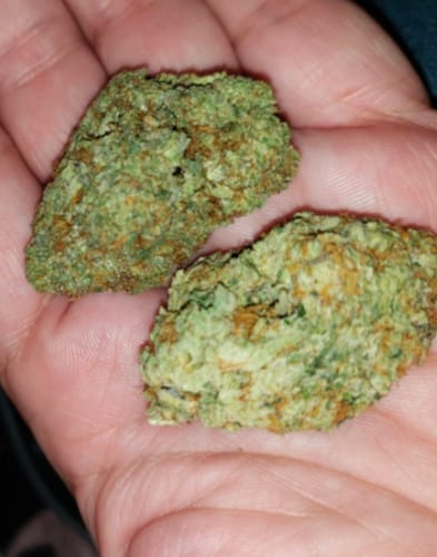 Customer photo review of Cheap THCA Flower Quarter Pound