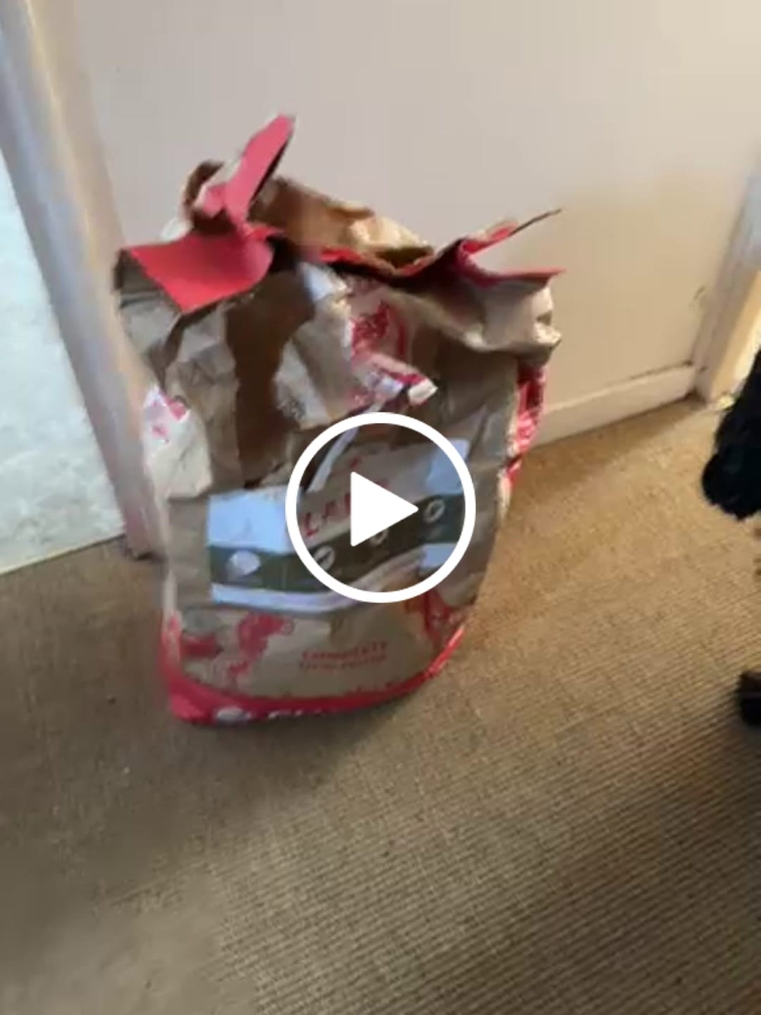 Customer video review of Welsh Lamb Dry Food