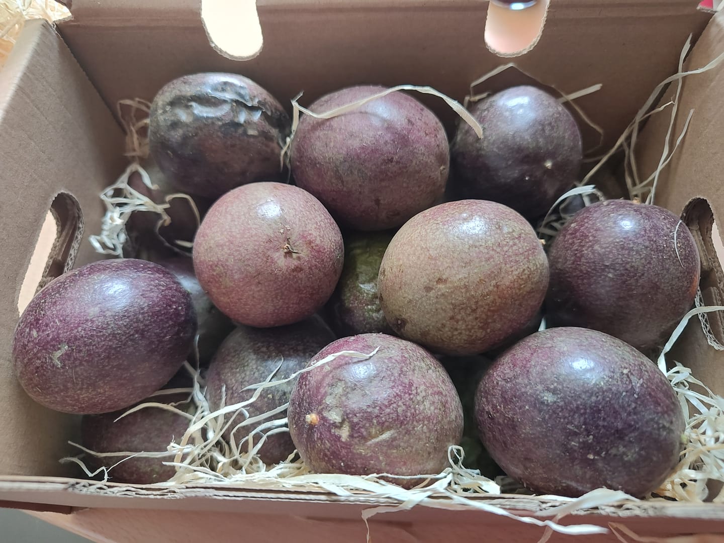 Customer photo review of Passionsfrüchte von Julian Sonderaktion %