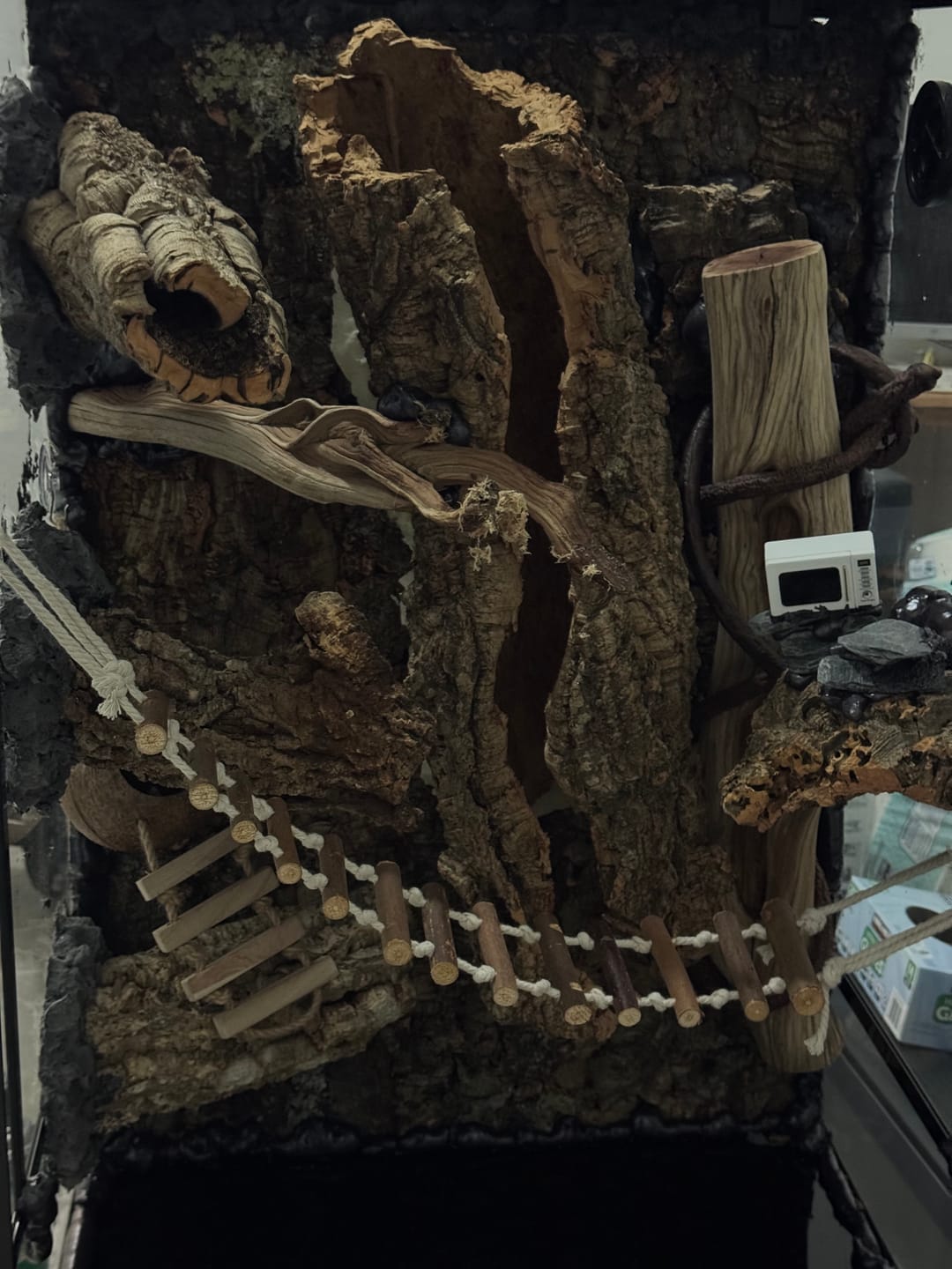 Customer photo review of Premium Cork Bark Tubes, Large