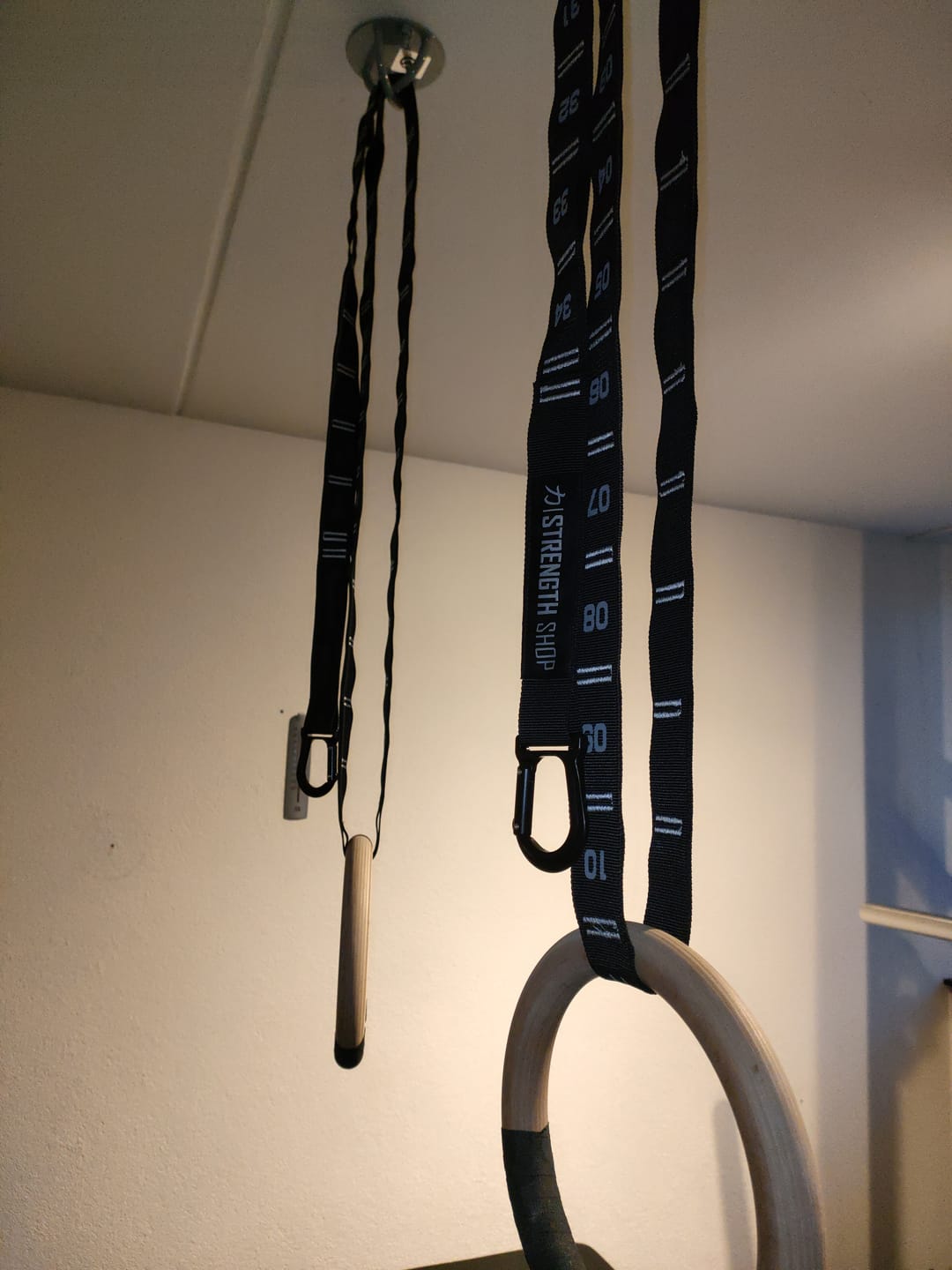 Customer photo review of Gymnastic Rings and Straps - FinalRep Approved