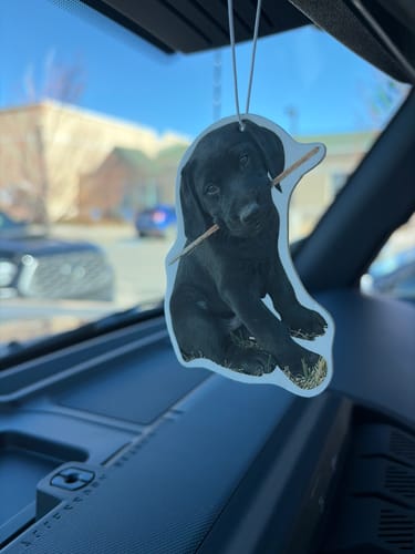 Reviewer's custom air freshener shaped like a black dog with a stick, hanging from a car's rearview mirror.