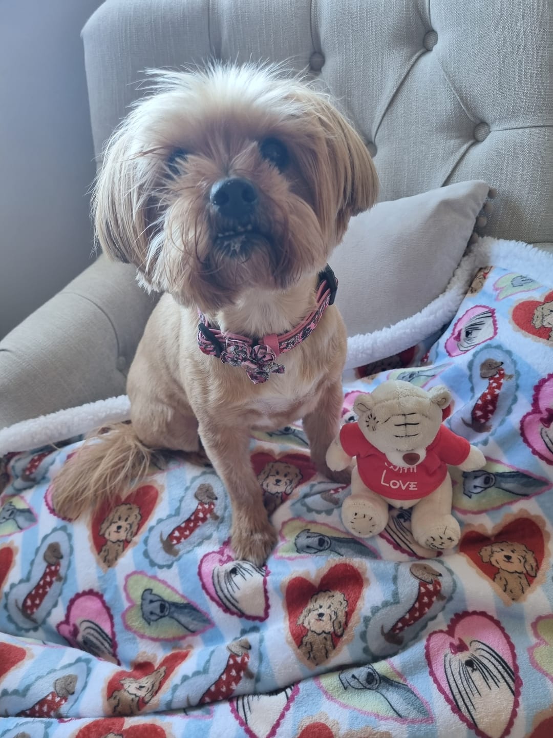 Customer photo review of Dog Blankie - My Fur Ever Love
