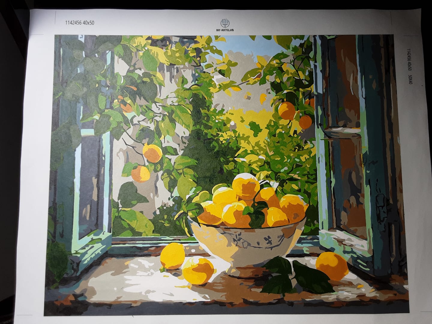 Customer photo review of Lemon Bowl at the Window | Paint by Number