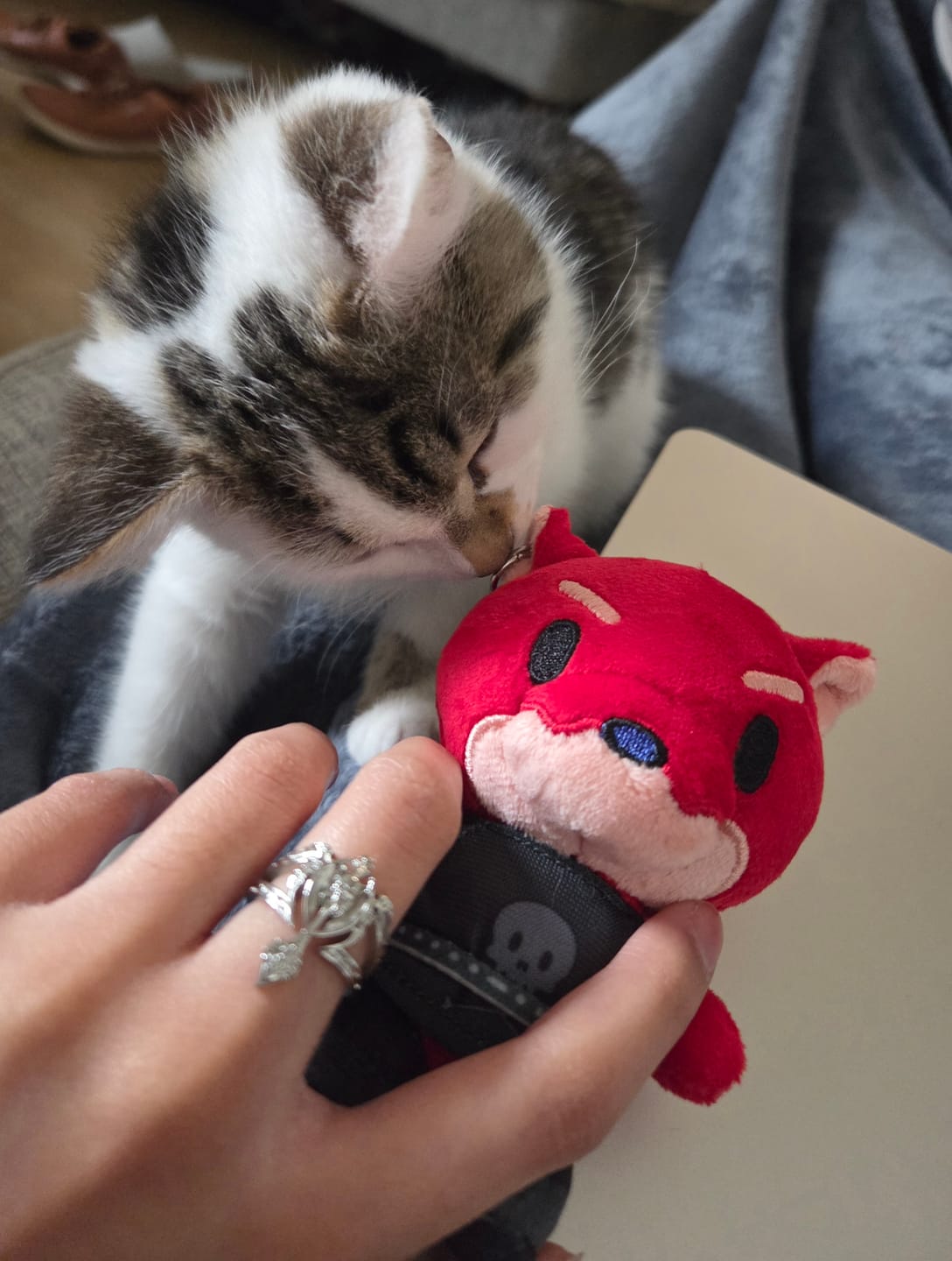 Customer photo review of MINI PLUSHIES