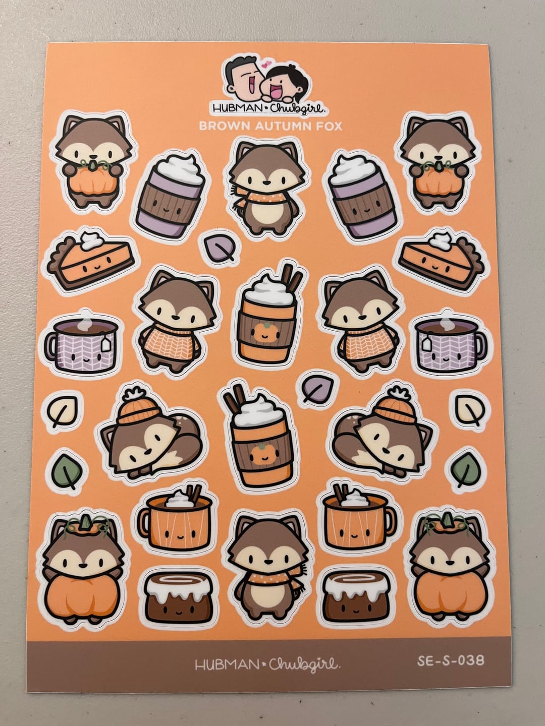Customer photo review of Brown Fox Sticker Sheet