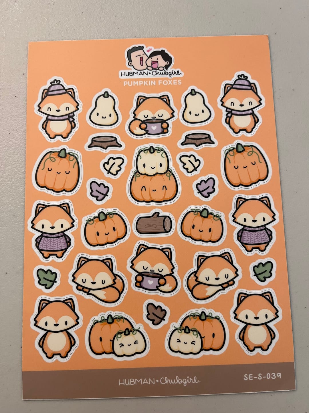 Customer photo review of Pumpkin Fox Sticker Sheet