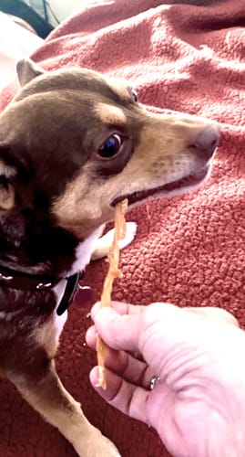 Customer photo review of USA Turkey Tendons