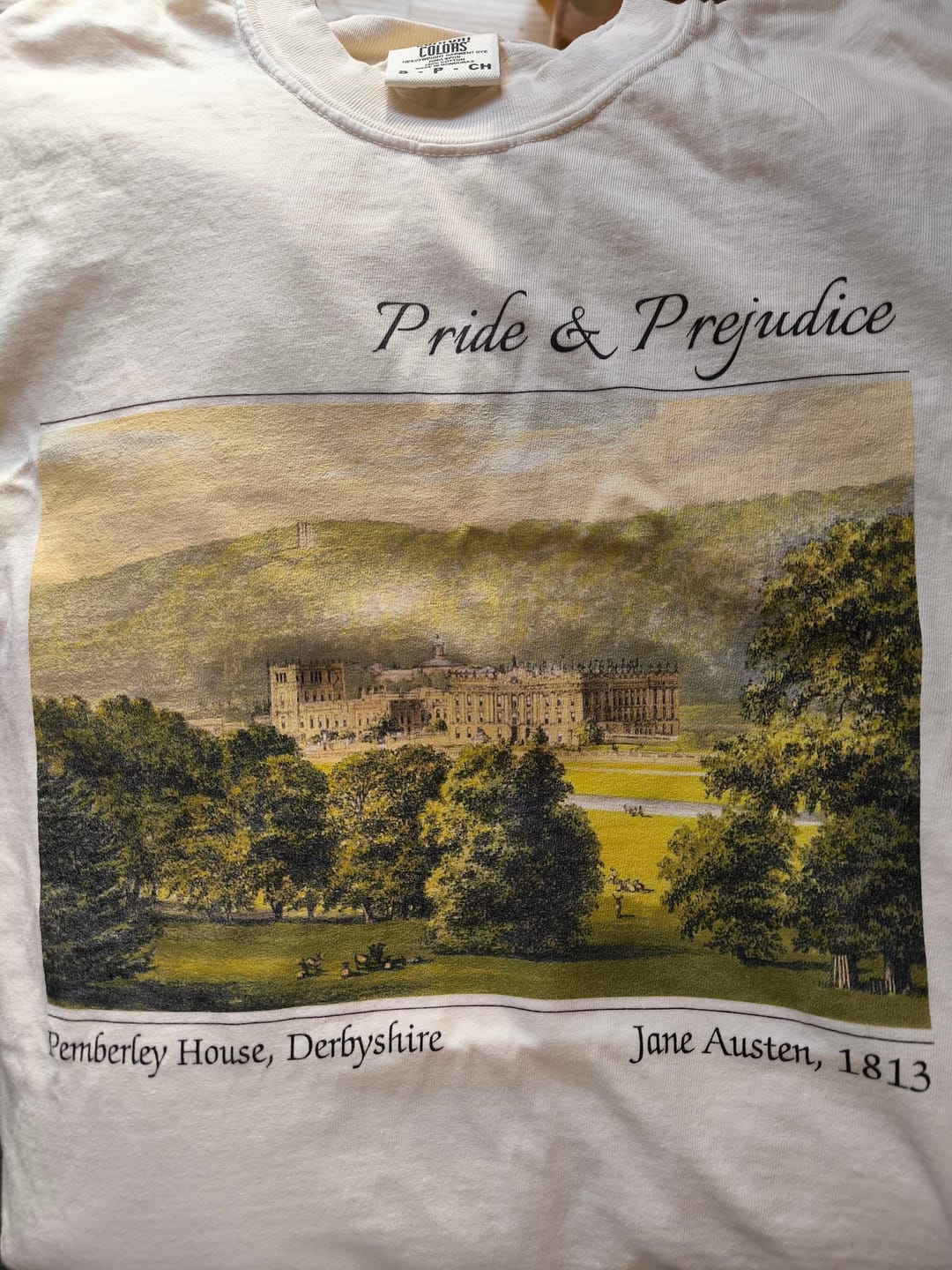 Customer photo review of Pride and Prejudice Pemberley Shirt | Comfort Colors® 100% Cotton Tee