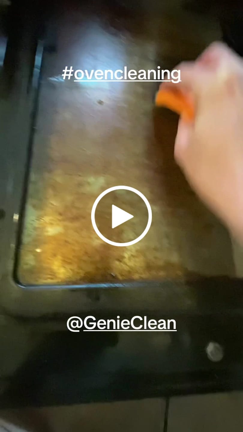 Customer video review of Clean Ya Oven