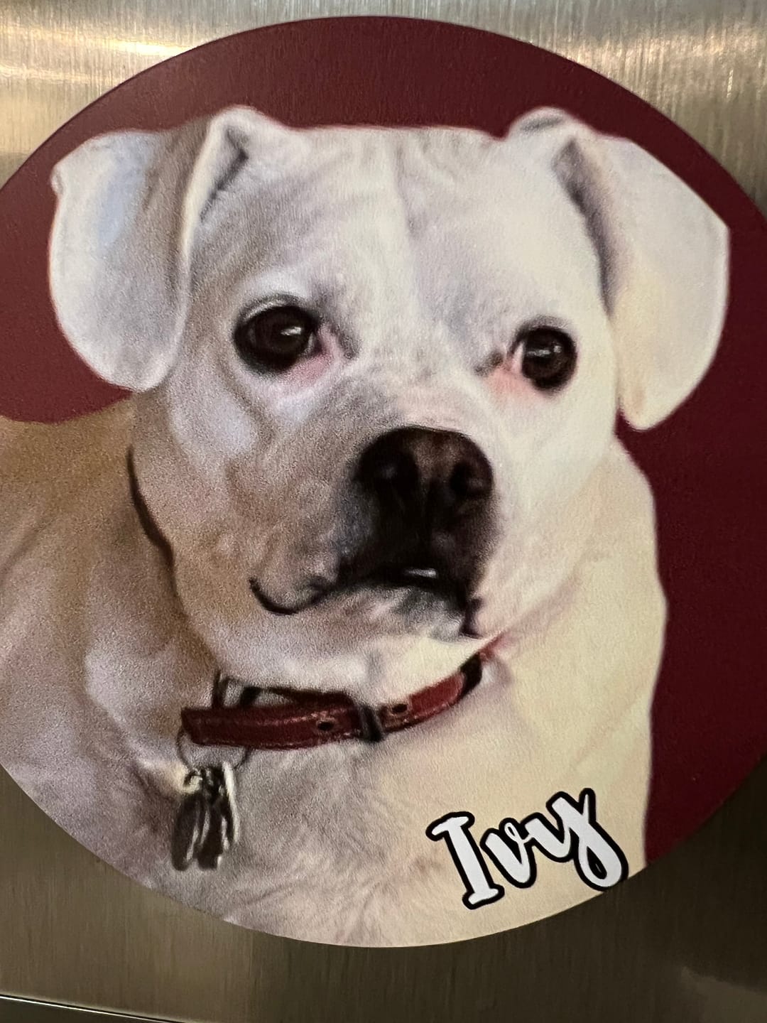 Customer photo review of Your photo - Personalized Car Magnet