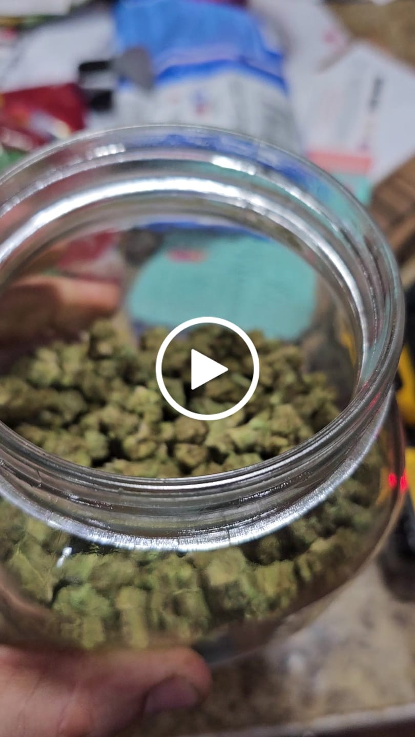 Customer video review of Indoor Smalls