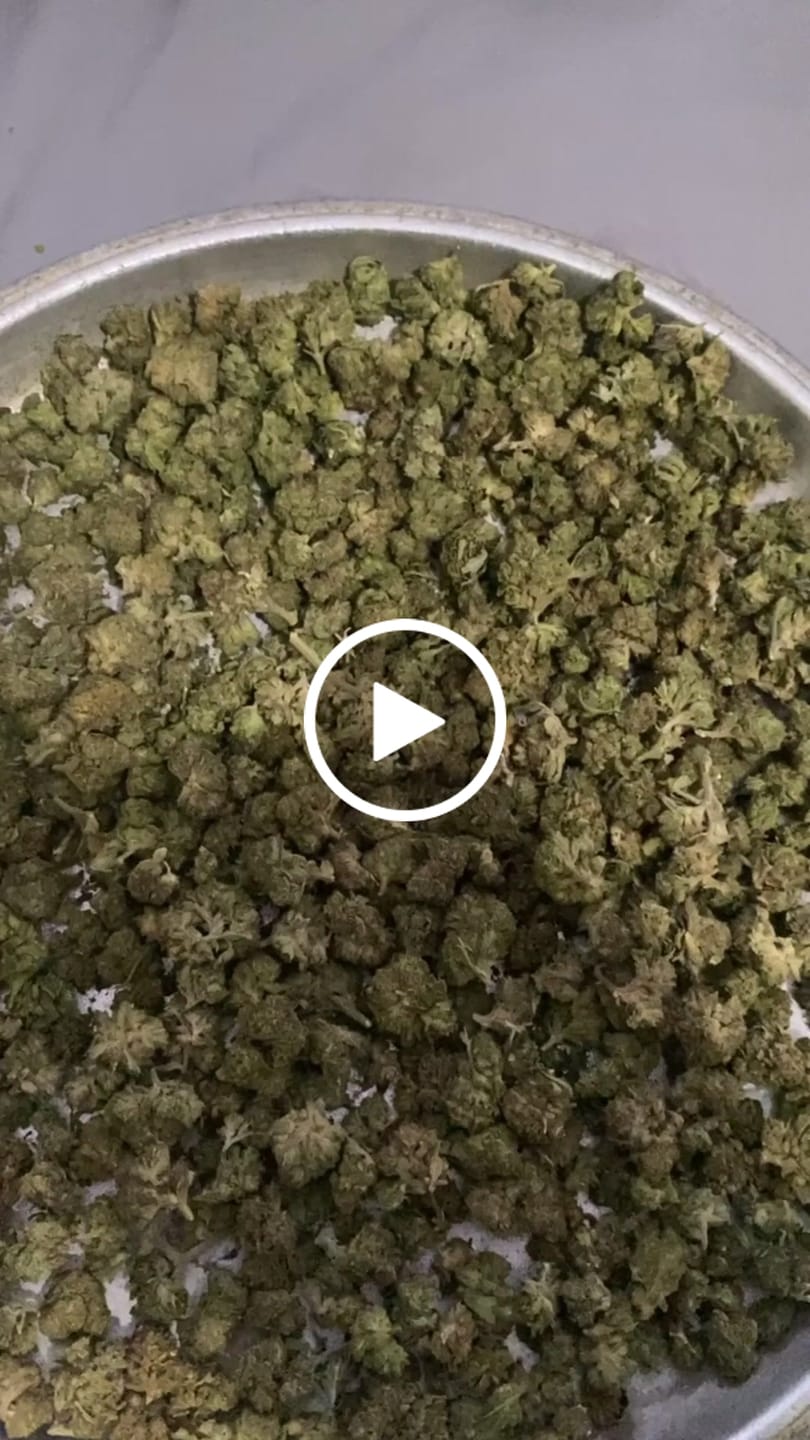 Customer video review of Lemon Haze Indoor THCA Trim