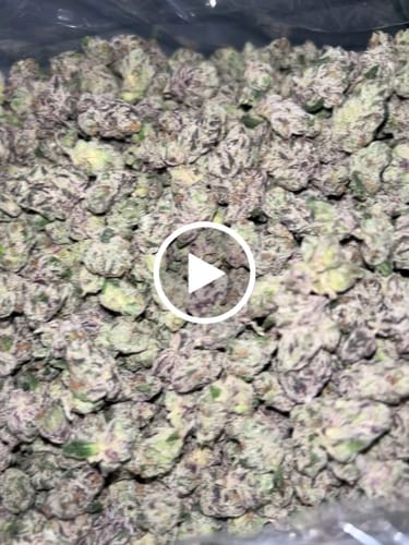 Customer video review of Boutique Exotics Berry Pop Littles - Bulk Littles - Hybrid