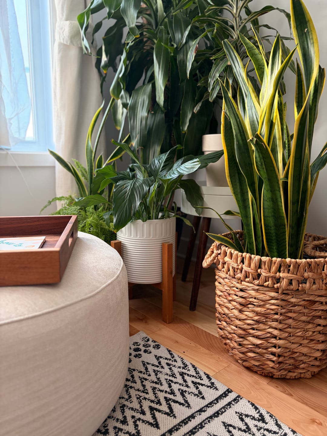 Customer photo review of C8 Round Pouf Ottoman