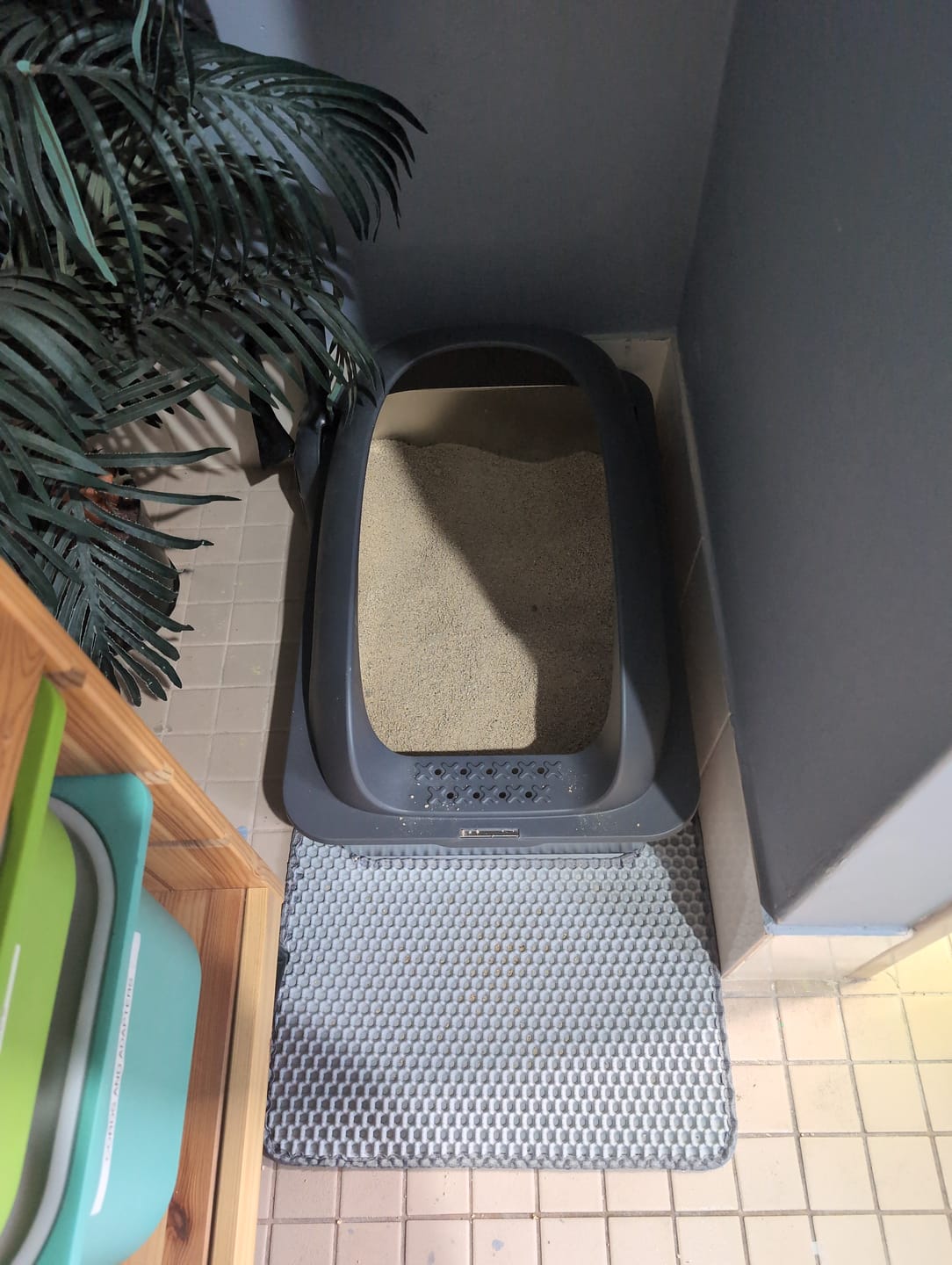 Customer photo review of Stainless Steel Cat Litter Box Large Semi-Enclosed