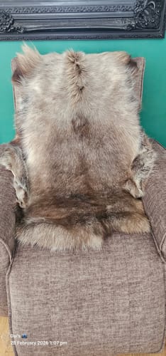 Customer photo review of XL Reindeer Fur Hide
