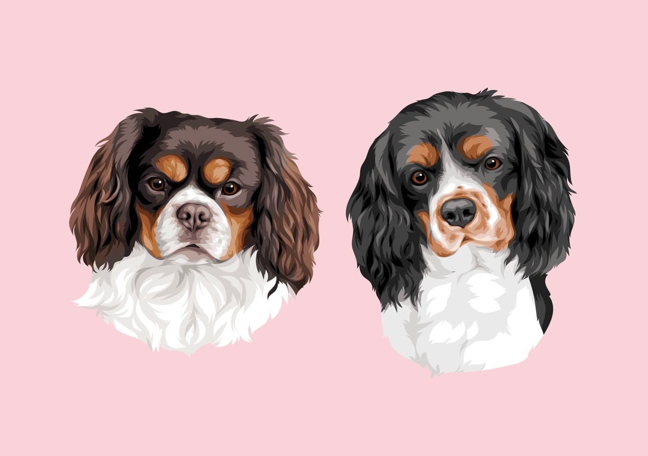 Customer photo review of Pet Portrait
