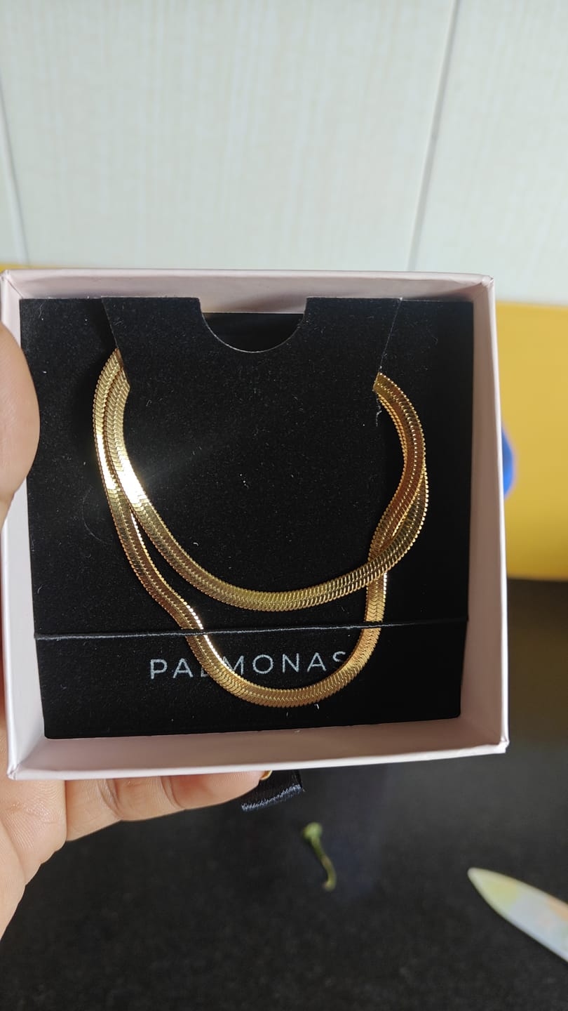 Customer photo review of Bold Glide Snake Chain