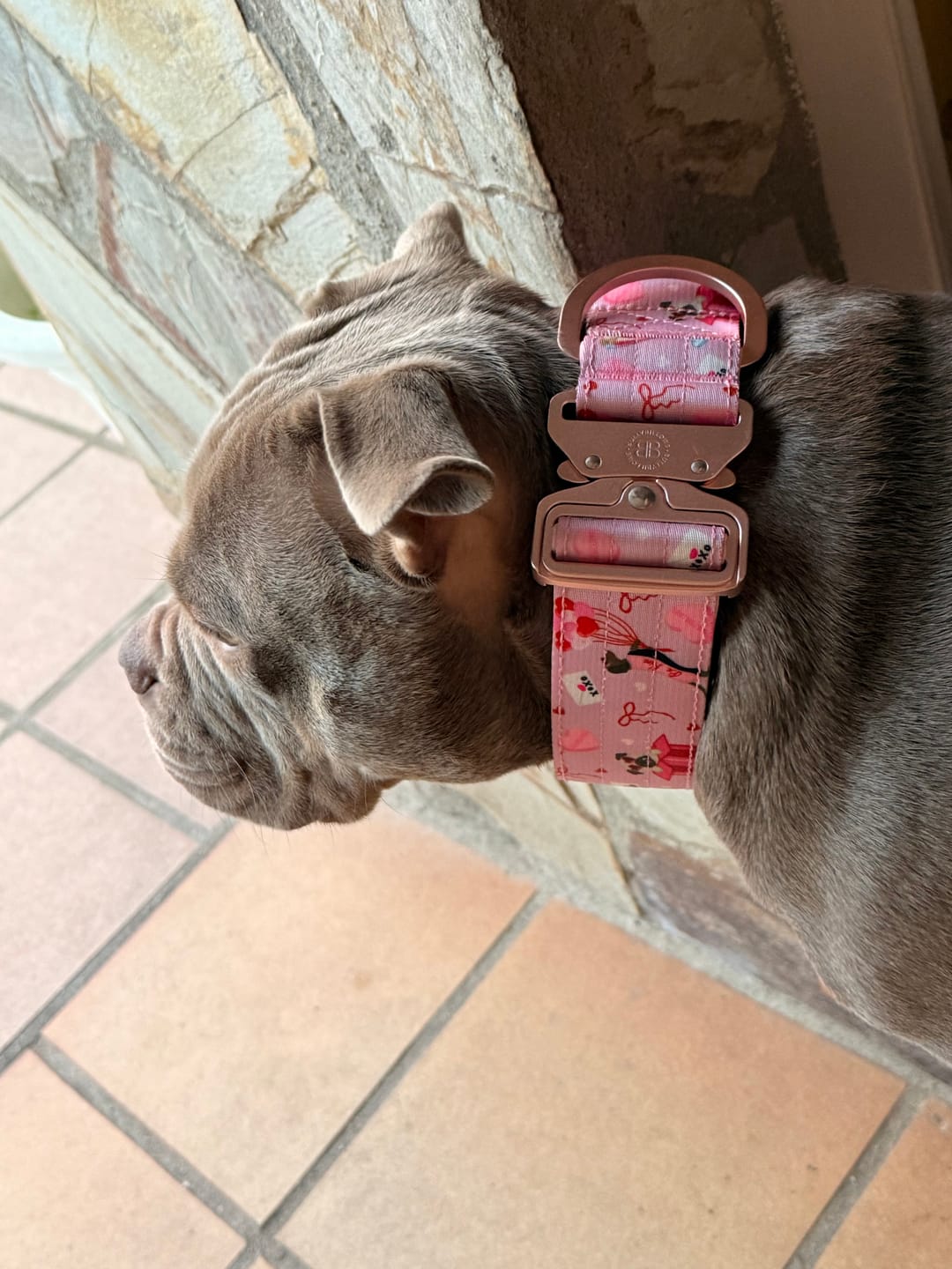 Customer photo review of 5cm Lighter Combat® Collar | Light Love Edition