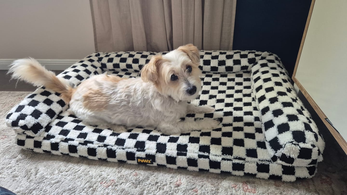 Customer photo review of Orthopedic Dog Bed Pet Mat Calming Checkered Plush Sofa Washable