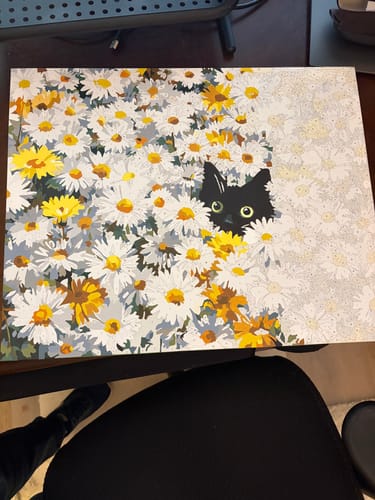 Customer's 'Cat in the daisy field' paint-by-number project, partially completed on a desk, showing the cat and many flowers painted in.
