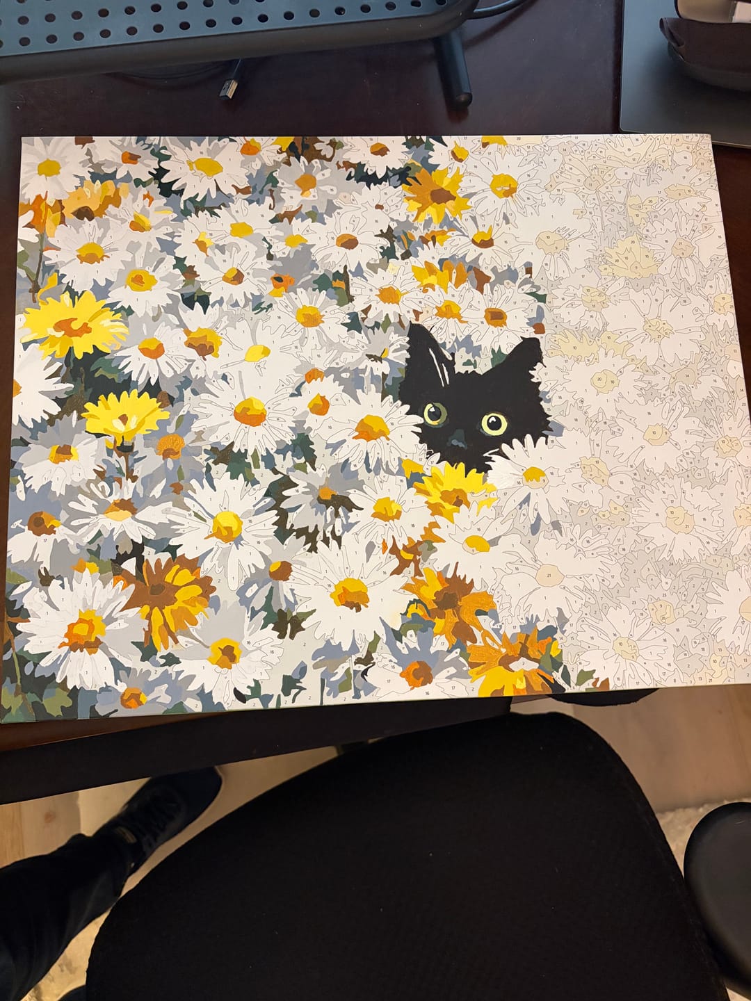 Customer photo review of Cat in the daisy field | Paint by Number
