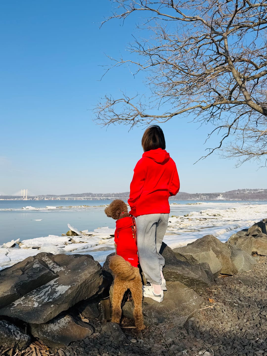 Customer photo review of Essential Dog Hoodie - Crimson Red