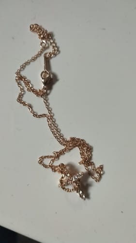 Customer photo review of Colgante Cruz y corona