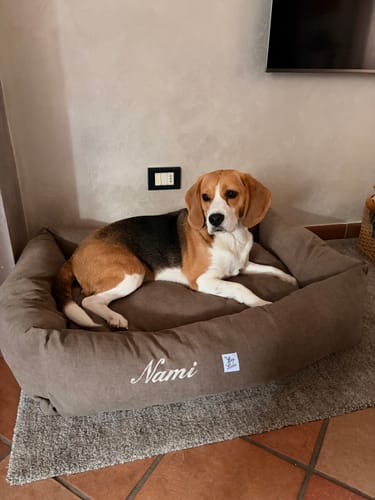 Customer photo review of Divanetto Mattias Marrone (Soft Touch)