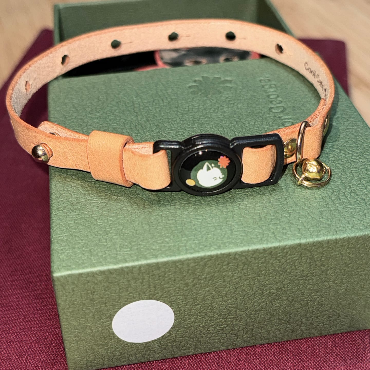 Customer photo review of Handmade Leather Collar - Bone